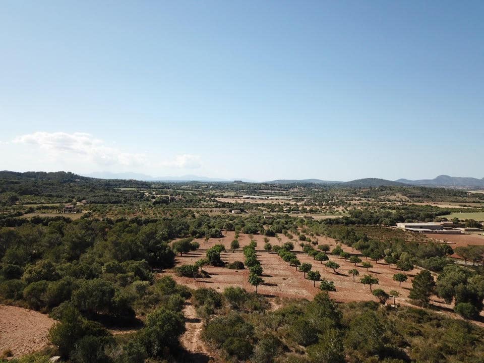 Byggegrund til salg i Manacor - € 650.000 (Ref: 5222423)