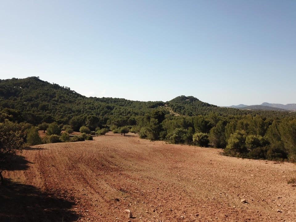 Byggegrund til salg i Manacor - € 650.000 (Ref: 5222423)