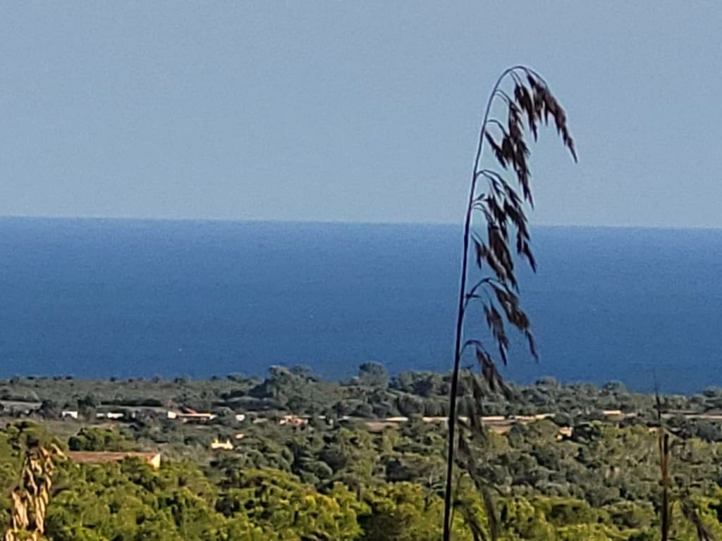 Byggegrund til salg i Manacor - € 650.000 (Ref: 5222423)