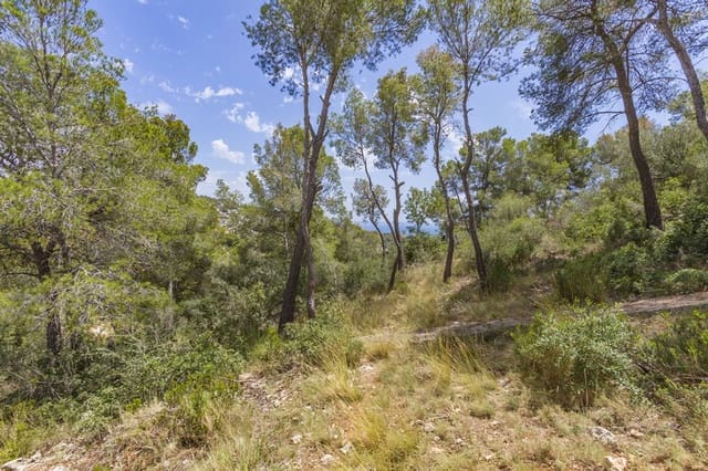 Chalet de 5 habitaciones en Costa d'en Blanes, Calvià en venta con piscina garaje - 4.300.000 € (Ref: 6259944)