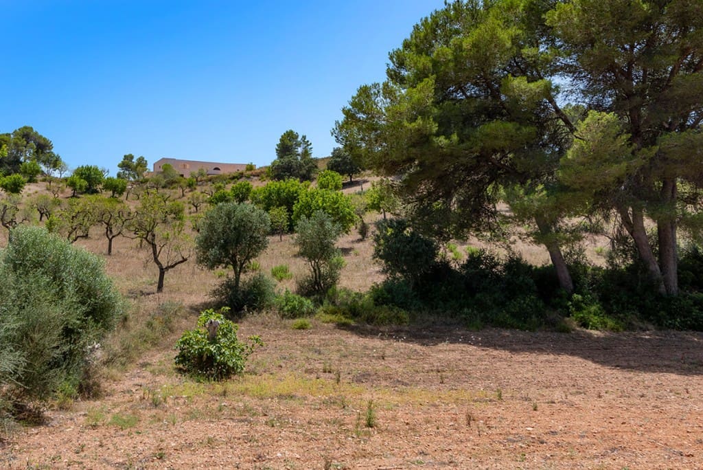 6 sovrum Finca/Hus på landet till salu i Felanitx med garage - 3 200 000 € (Ref: 6260018)