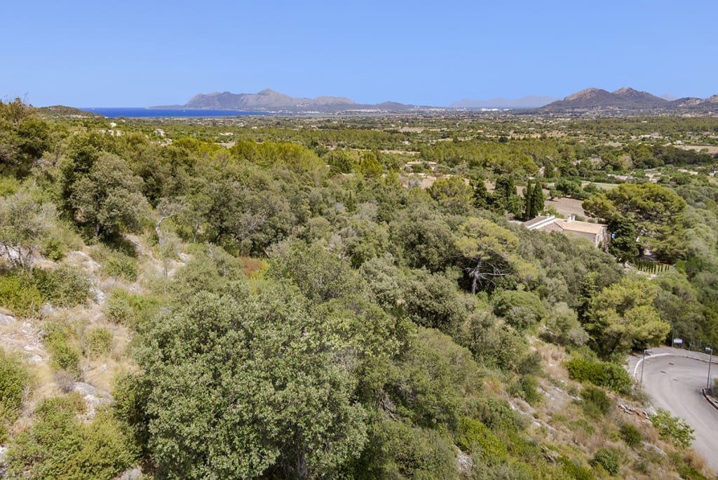 Byggegrund til salg i Pollensa / Pollenca - € 916.000 (Ref: 6394119)