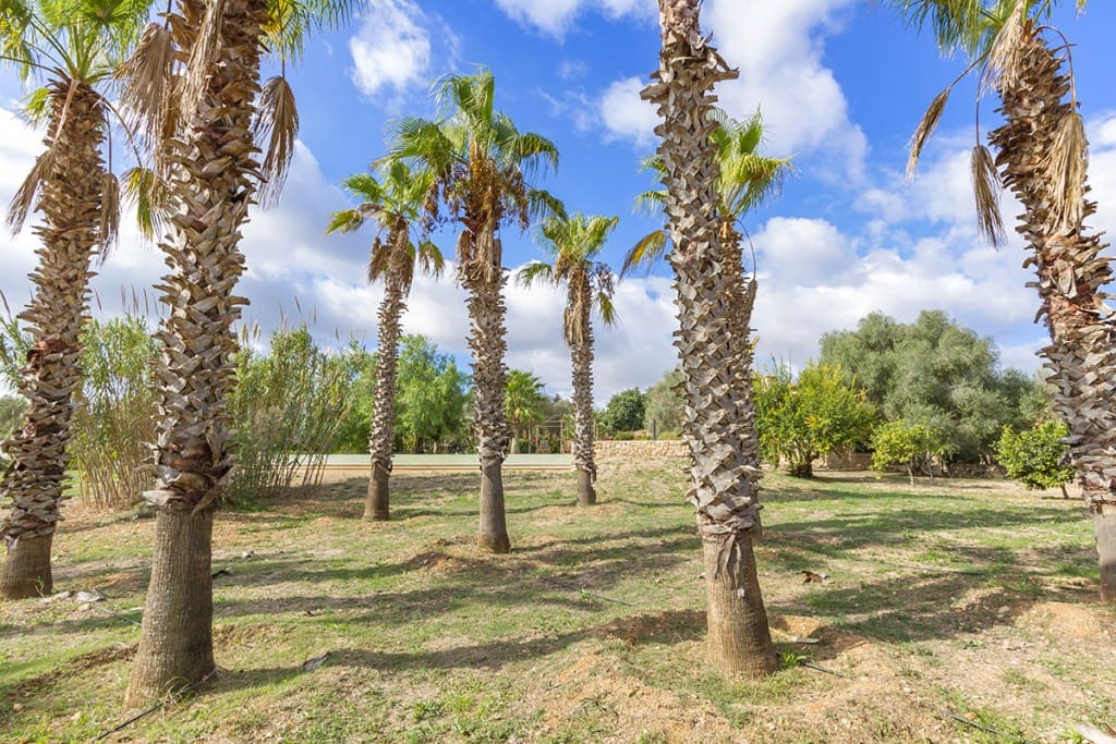 5 chambre Finca/Maison de Campagne à vendre à Manacor avec piscine garage - 2 600 000 € (Ref: 6422110)