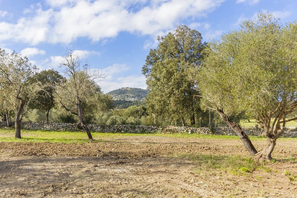 Building Plot for sale in Pollensa / Pollenca - € 1,150,000 (Ref: 6659048)