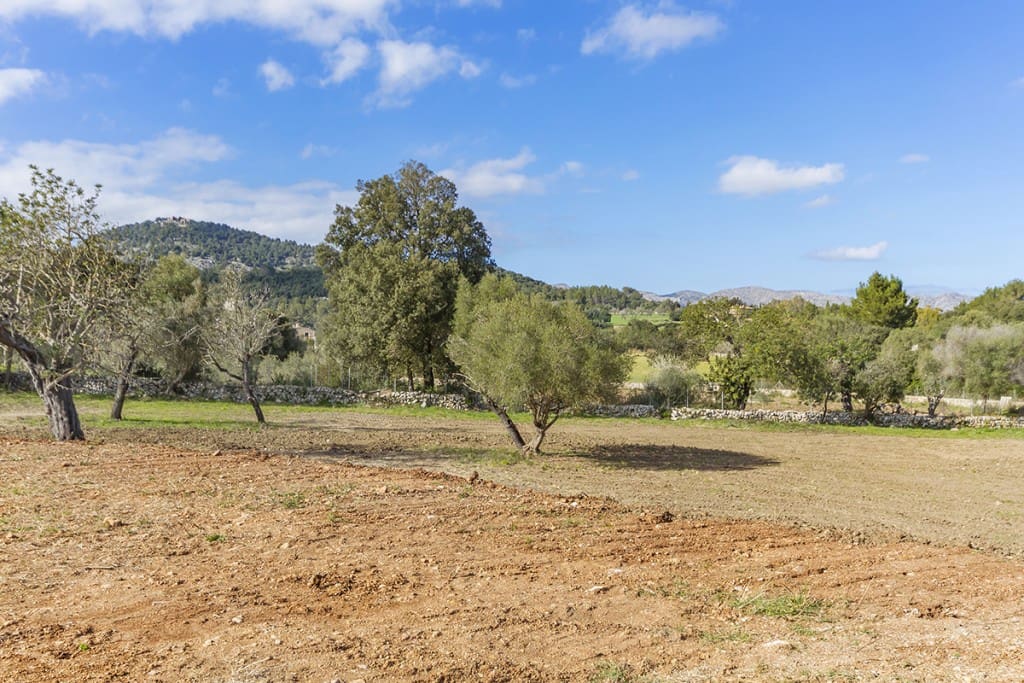 Building Plot for sale in Pollensa / Pollenca - € 1,150,000 (Ref: 6659048)