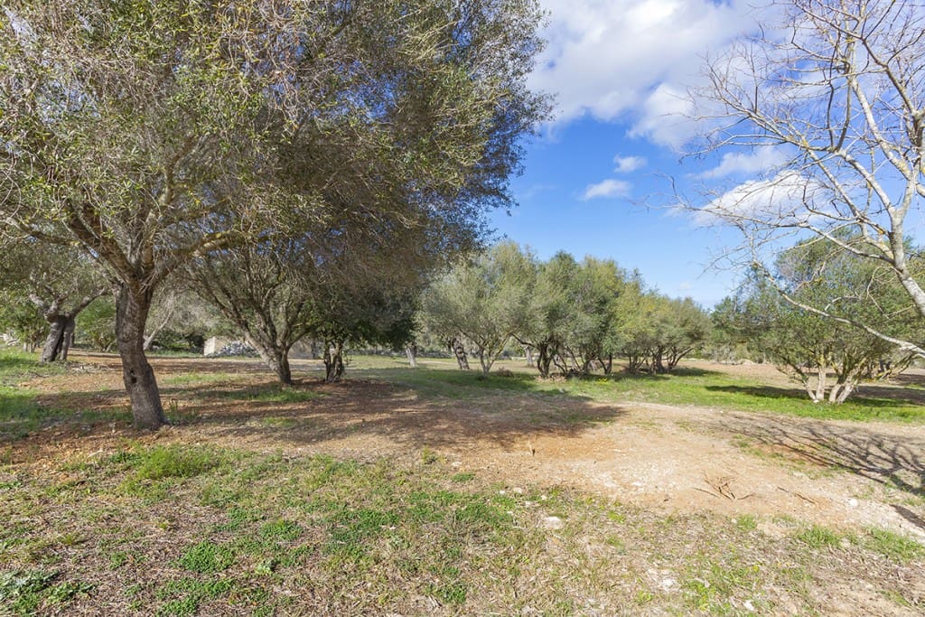 Building Plot for sale in Pollensa / Pollenca - € 1,150,000 (Ref: 6659048)