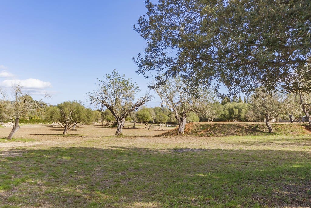 Building Plot for sale in Pollensa / Pollenca - € 1,150,000 (Ref: 6659048)