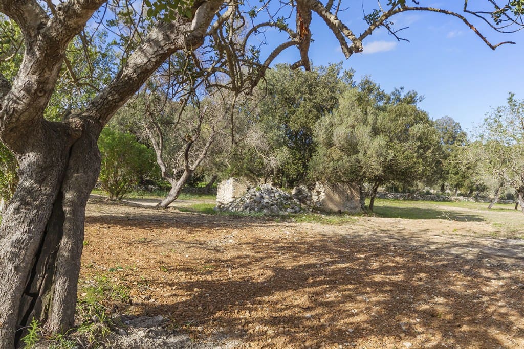 Building Plot for sale in Pollensa / Pollenca - € 1,150,000 (Ref: 6659048)