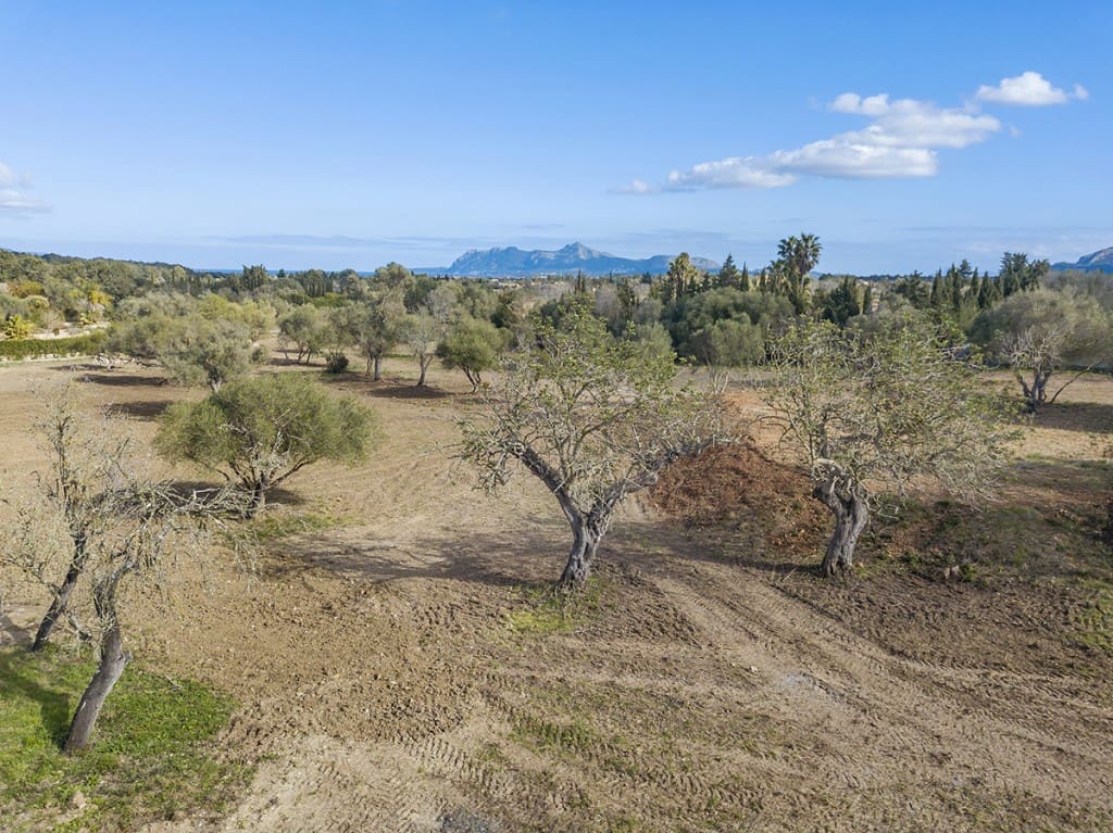 Building Plot for sale in Pollensa / Pollenca - € 1,150,000 (Ref: 6659048)