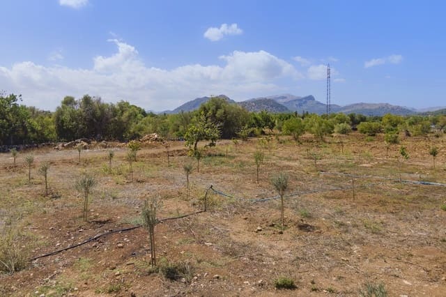 Tomt till salu i Pollensa / Pollença - 750 000 € (Ref: 7102024)