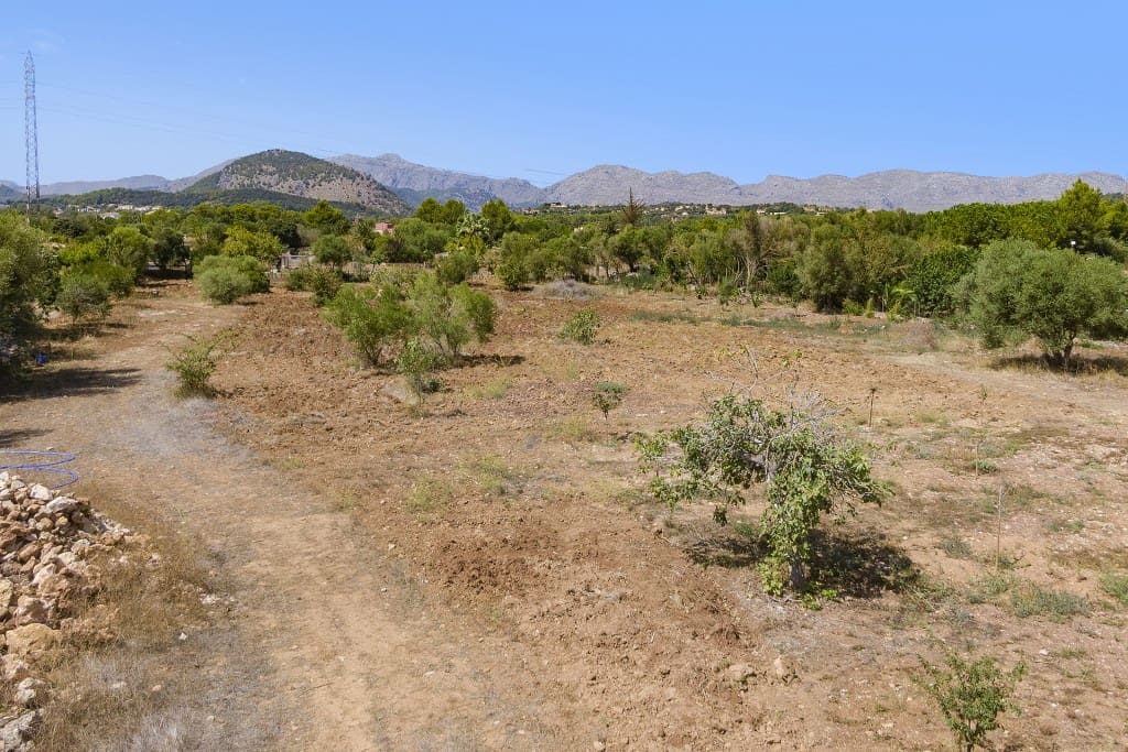 Byggetomt til salgs i Pollensa / Pollenca - € 750 000 (Ref: 7102024)