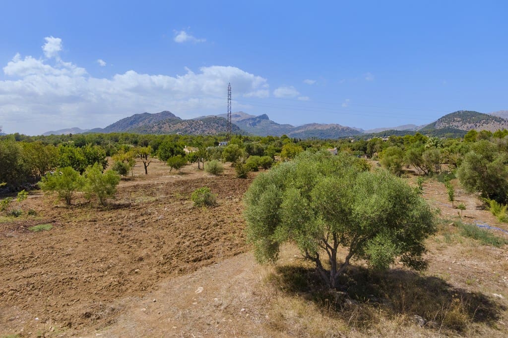 Byggetomt til salgs i Pollensa / Pollenca - € 750 000 (Ref: 7102024)