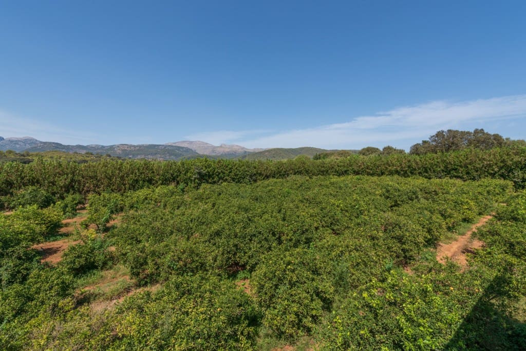 6 chambre Finca/Maison de Campagne à vendre à Buger avec piscine garage - 2 500 000 € (Ref: 7102027)