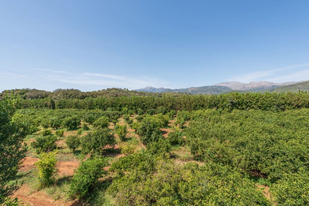 6 chambre Finca/Maison de Campagne à vendre à Buger avec piscine garage - 2 500 000 € (Ref: 7102027)