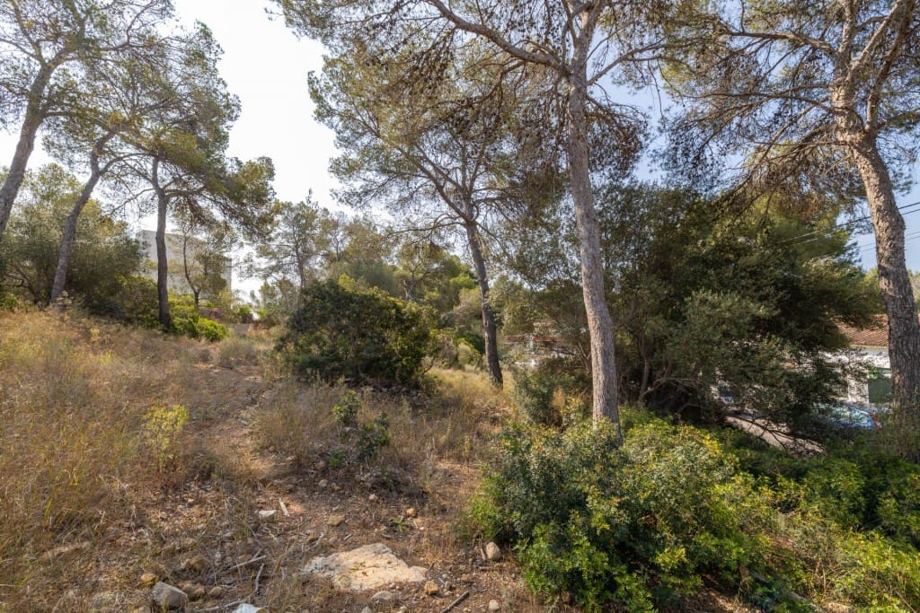 Area Edificabile in vendita in Cala Vinyes / Cala Vinyas / Cala Vinas - 995.000 € (Rif: 7618829)