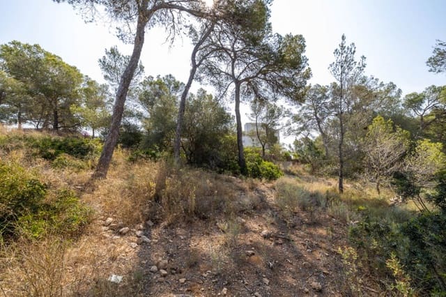 Building Plot for sale in Cala Vinyes / Cala Vinyas / Cala Viñas, Calvià - € 995,000 (Ref: 7618829)