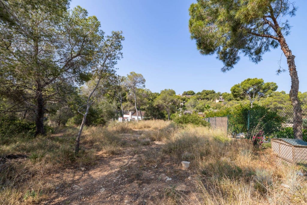 Area Edificabile in vendita in Cala Vinyes / Cala Vinyas / Cala Vinas - 995.000 € (Rif: 7618829)