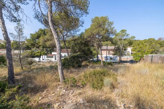 Building Plot for sale in Cala Vinyes / Cala Vinyas / Cala Viñas, Calvià - € 995,000 (Ref: 7618829)