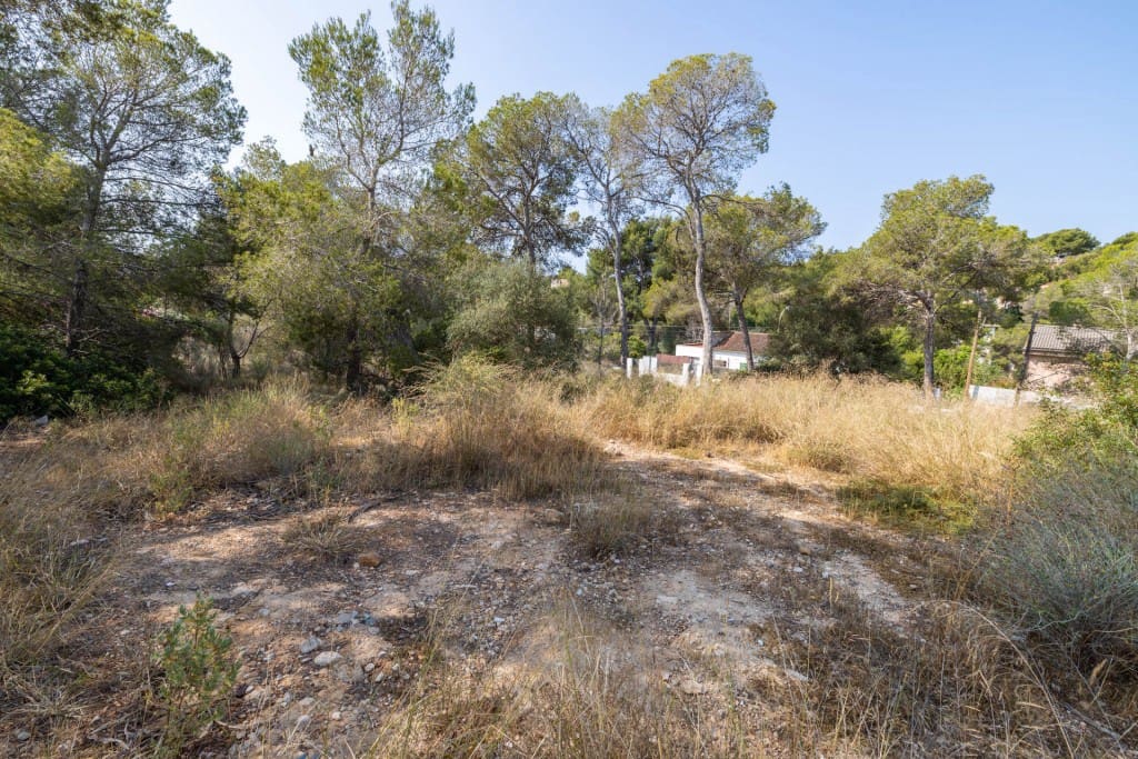 Area Edificabile in vendita in Cala Vinyes / Cala Vinyas / Cala Vinas - 995.000 € (Rif: 7618829)