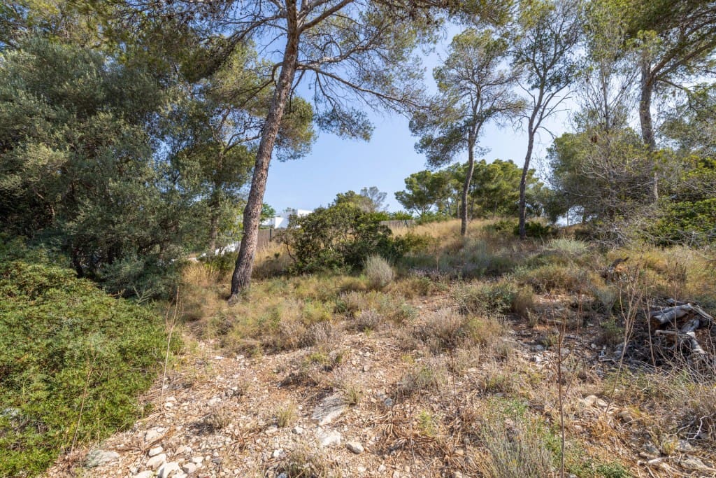 Area Edificabile in vendita in Cala Vinyes / Cala Vinyas / Cala Vinas - 995.000 € (Rif: 7618829)