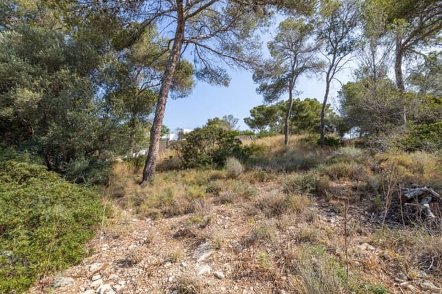 Building Plot for sale in Cala Vinyes / Cala Vinyas / Cala Viñas, Calvià - € 995,000 (Ref: 7618829)