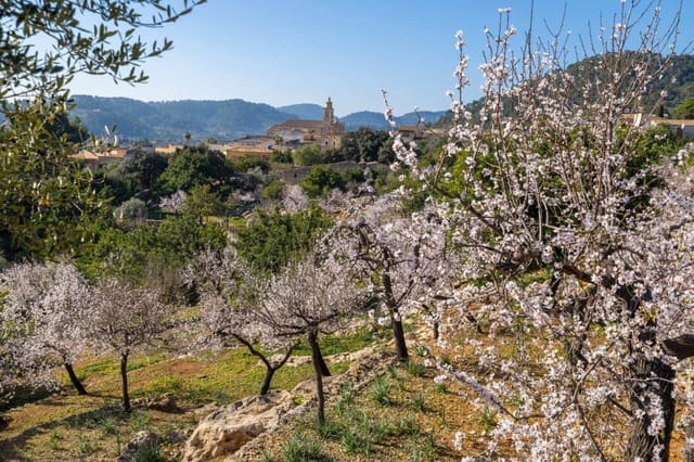 Chalet de 3 habitaciones en Selva en venta con piscina garaje - 795.000 € (Ref: 8094869)