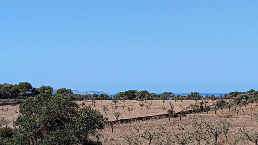 4 camera da letto Finca/Casa di Campagna in vendita in Cala Llombards con piscina garage - 2.400.000 € (Rif: 8244925)