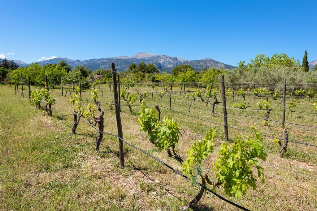 2 soverom Finca/Herregård til salgs i Selva med svømmebasseng garasje - € 1 100 000 (Ref: 8253788)