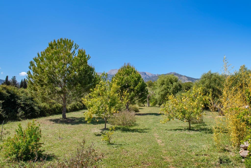 2 soverom Finca/Herregård til salgs i Selva med svømmebasseng garasje - € 1 100 000 (Ref: 8253788)