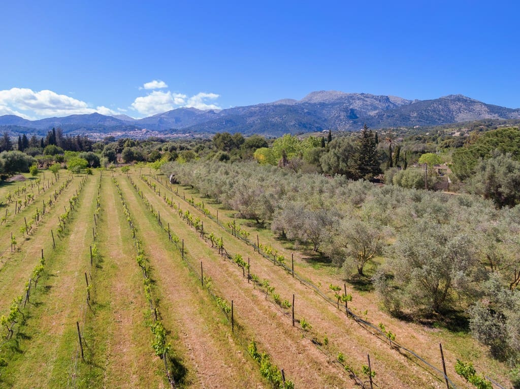 2 soverom Finca/Herregård til salgs i Selva med svømmebasseng garasje - € 1 100 000 (Ref: 8253788)