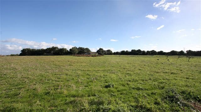 Byggegrund til salg i Pollensa / Pollenca - € 2.500.000 (Ref: 8351982)