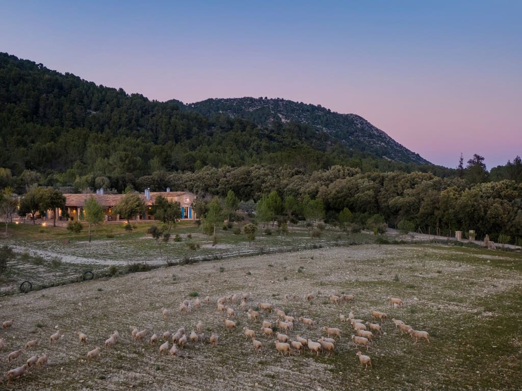 5 soveværelse Finca/Landehus til salg i Campanet med swimmingpool garage - € 7.500.000 (Ref: 8352007)