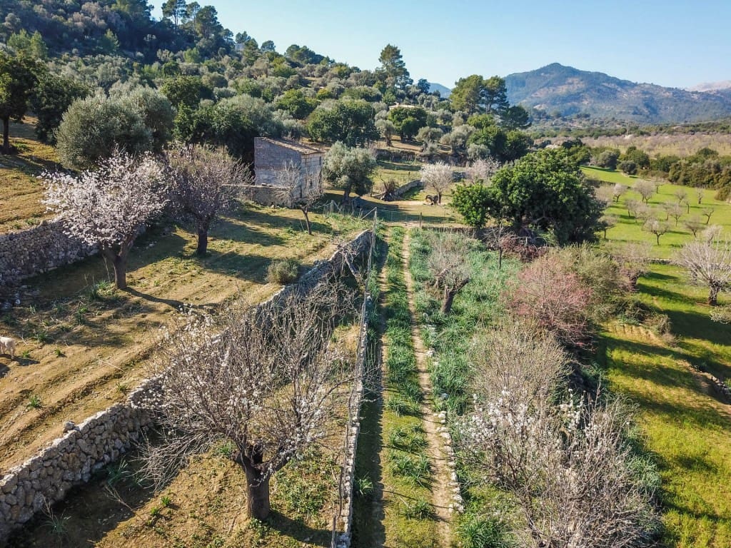 Finca/Country House for sale in Selva - € 550,000 (Ref: 8352016)