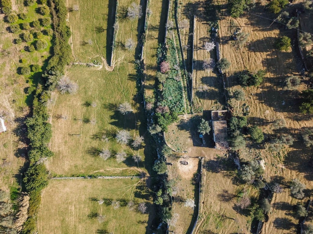 Finca/Country House for sale in Selva - € 550,000 (Ref: 8352016)