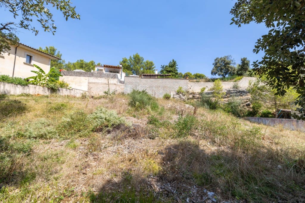 Area Edificabile in vendita in Cala San Vicente / Cala Sant Vicenc - 500.000 € (Rif: 8352028)