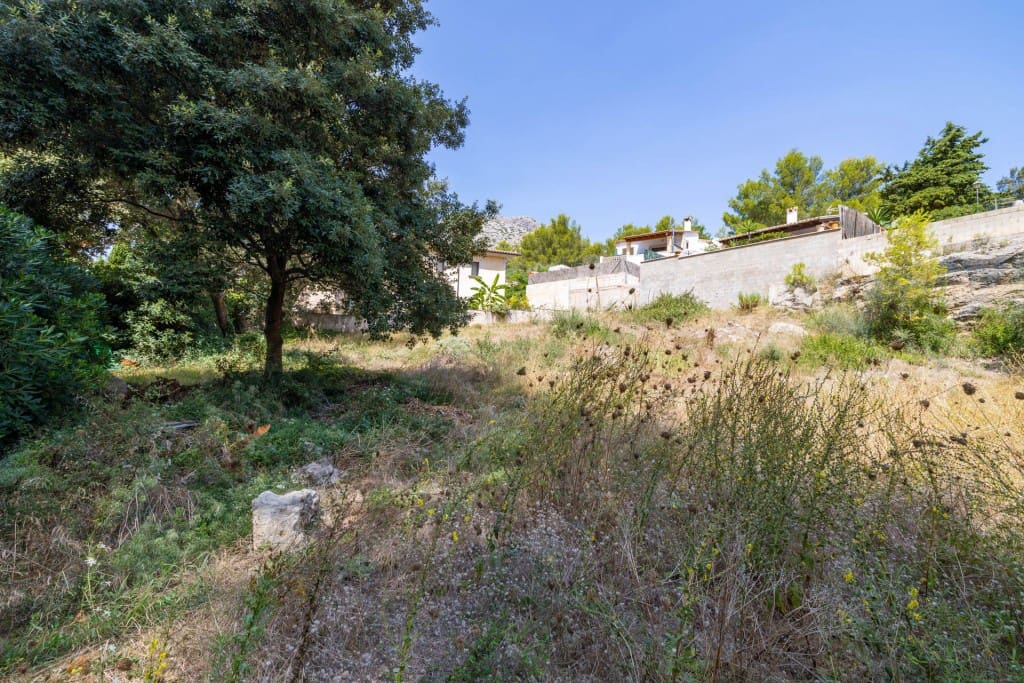 Area Edificabile in vendita in Cala San Vicente / Cala Sant Vicenc - 500.000 € (Rif: 8352028)