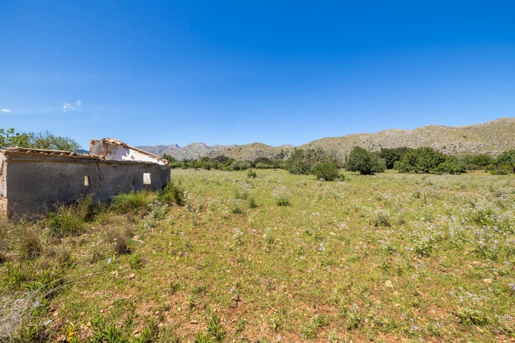 Area Edificabile in vendita in Pollensa / Pollenca - 1.300.000 € (Rif: 8352122)