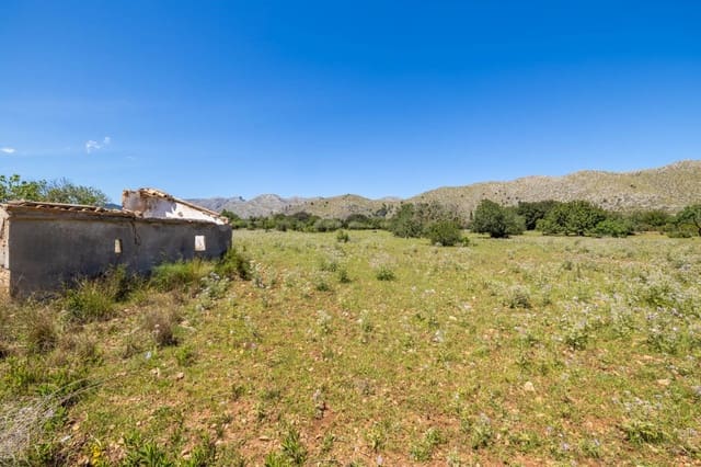 Area Edificabile in vendita in Pollensa / Pollença - 1.300.000 € (Rif: 8352122)
