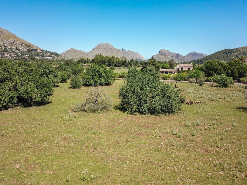 Area Edificabile in vendita in Pollensa / Pollenca - 1.300.000 € (Rif: 8352122)
