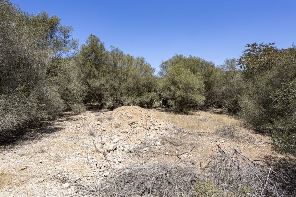 Bouwgrond te koop in Sa Cabaneta / La Cabaneta - € 390.000 (Ref: 8454433)