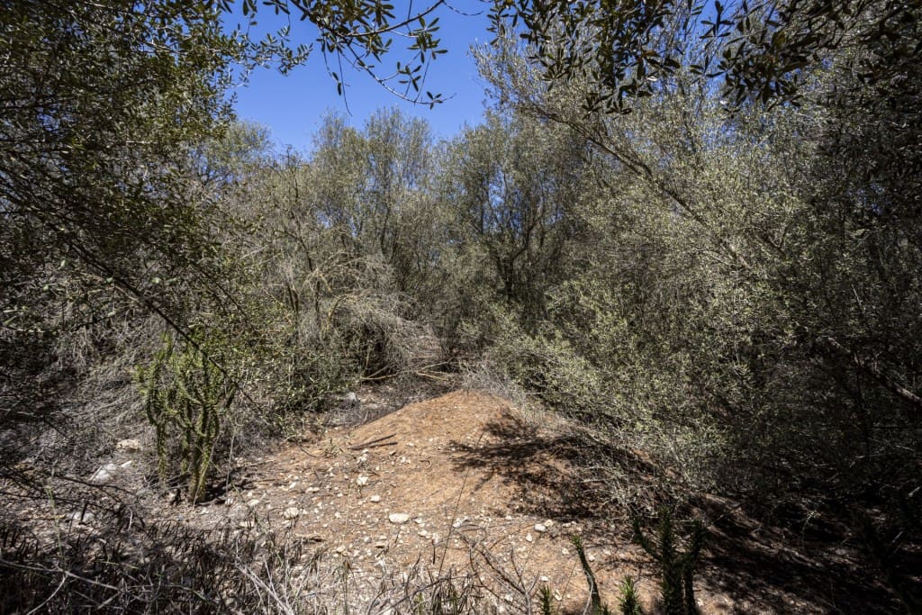 Bouwgrond te koop in Sa Cabaneta / La Cabaneta - € 390.000 (Ref: 8454433)