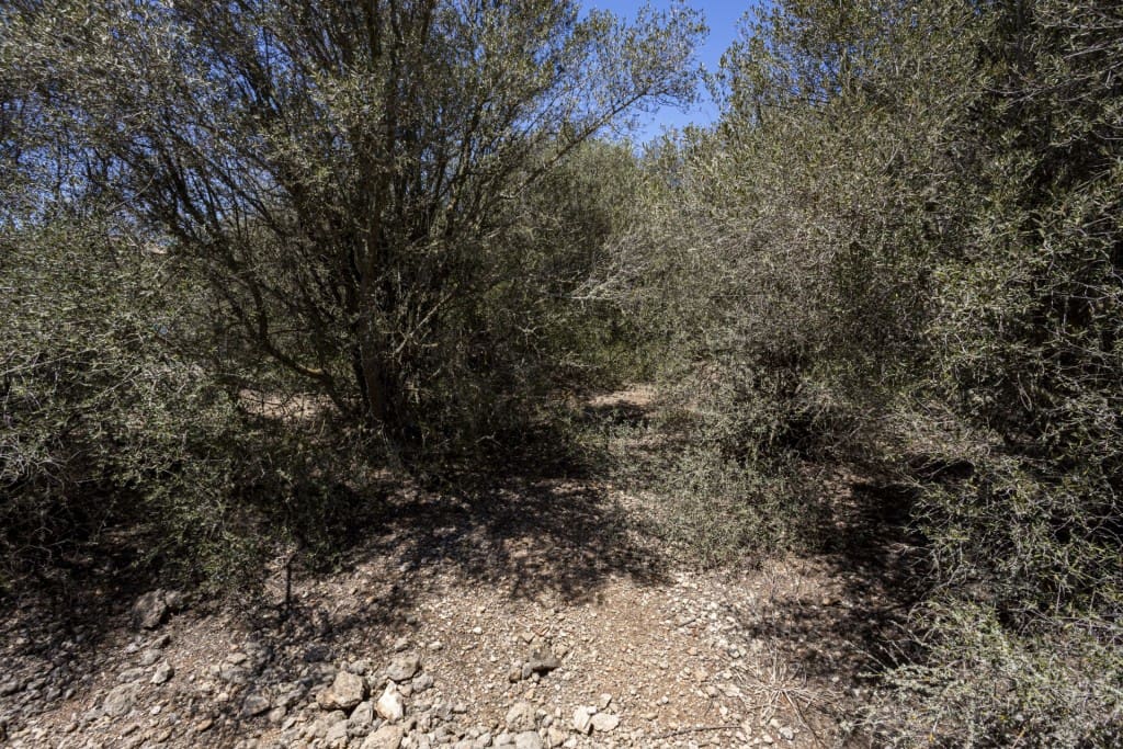 Bouwgrond te koop in Sa Cabaneta / La Cabaneta - € 390.000 (Ref: 8454433)