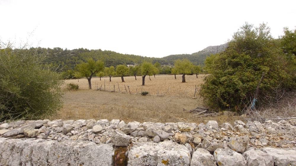 8 sypialnia Finka/Dom wiejski na sprzedaż w Pollensa / Pollenca - 3 000 000 € (Ref: 8466267)