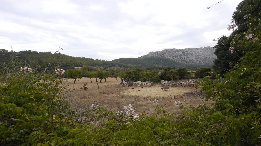 8 sypialnia Finka/Dom wiejski na sprzedaż w Pollensa / Pollenca - 3 000 000 € (Ref: 8466267)