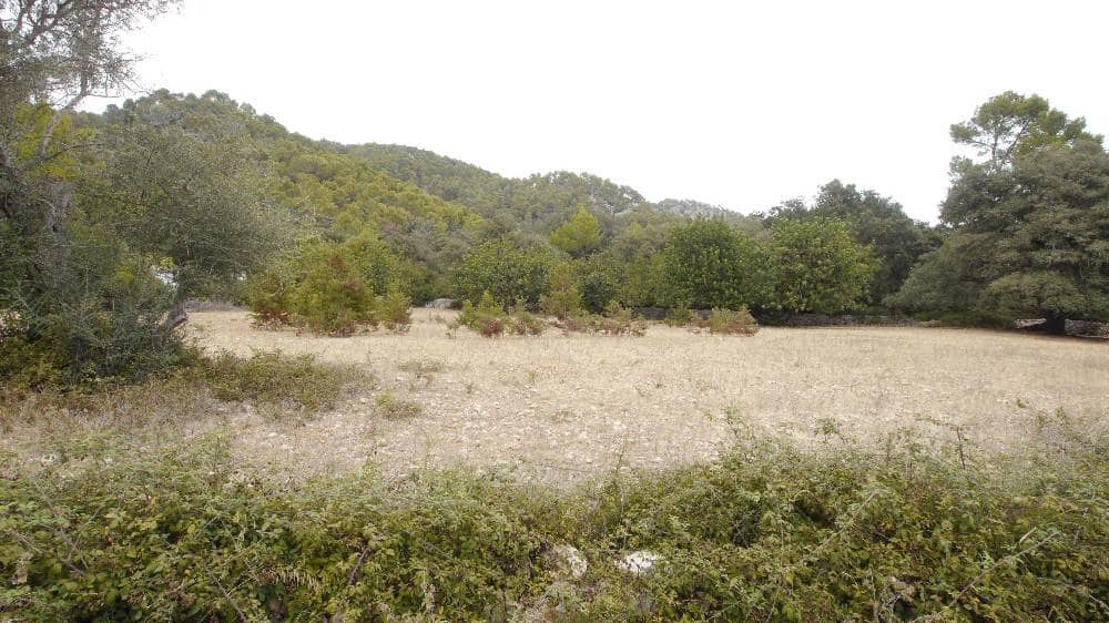 8 sypialnia Finka/Dom wiejski na sprzedaż w Pollensa / Pollenca - 3 000 000 € (Ref: 8466267)