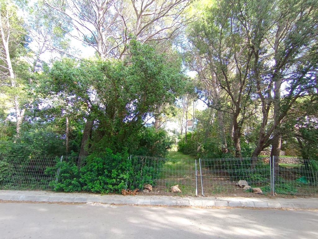 Bouwgrond te koop in Pollensa / Pollenca - € 450.000 (Ref: 8546812)