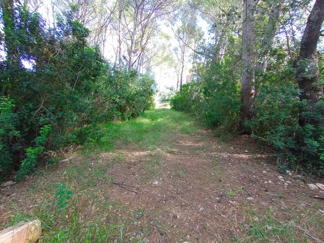 Bouwgrond te koop in Pollensa / Pollença - € 450.000 (Ref: 8546812)