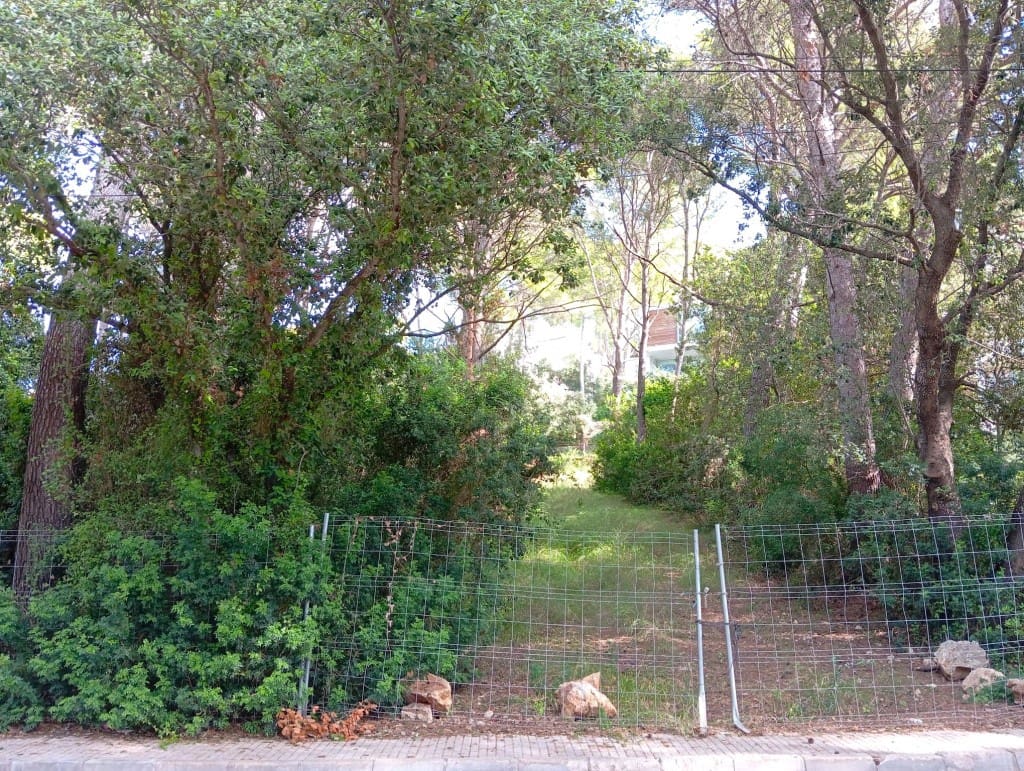 Bouwgrond te koop in Pollensa / Pollenca - € 450.000 (Ref: 8546812)