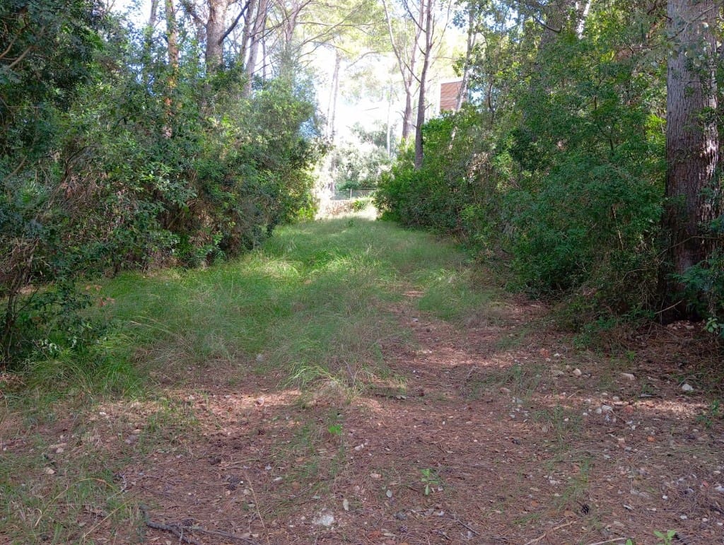 Bouwgrond te koop in Pollensa / Pollenca - € 450.000 (Ref: 8546812)