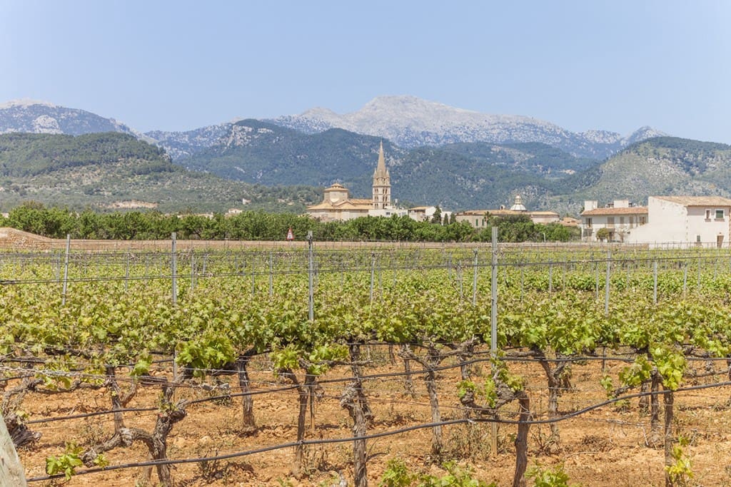 4 bedroom Finca/Country House for sale in Binissalem with pool - € 3,500,000 (Ref: 8572225)